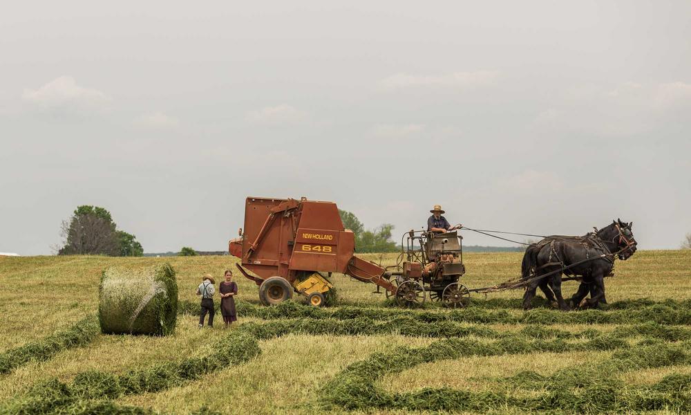 Mâm đĩa than hi-end 2026