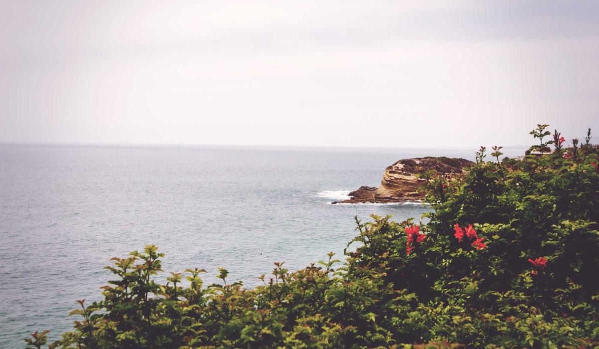 Cấu trúc ESG 2026