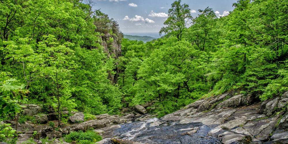 Tiếng Nhật chuyên ngành khách sạn 2026