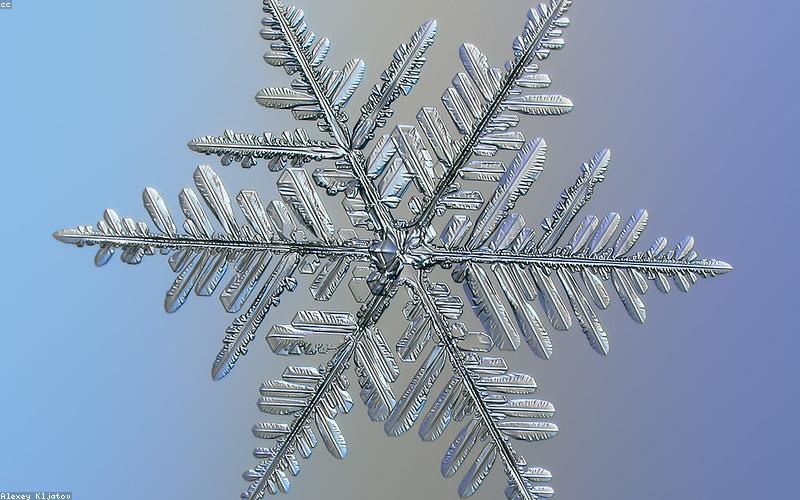 Công nghệ tế bào và trẻ hóa da