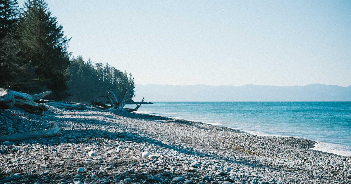 Báo cáo thị trường 2024: Xu hướng váy cưới 'Quiet Luxury' tăng trưởng 35%, chiếm lĩnh phân khúc cao cấp