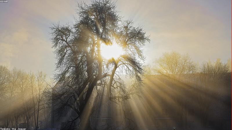 Kiến trúc xanh trong đô thị hiện đại