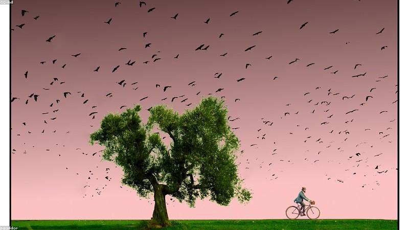 BrandBoost Creativity