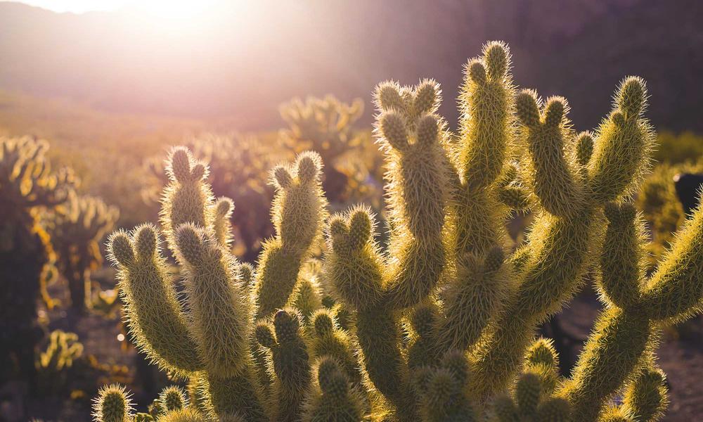 Khung cảnh Nomad Popup về đêm