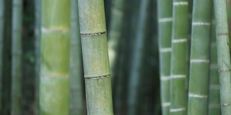 Future classroom design