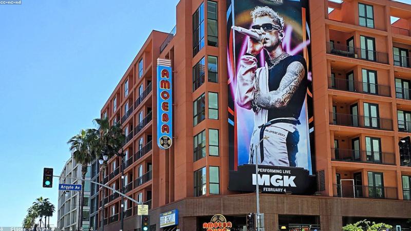 Showroom nhạc cụ MusicGear VN với đa dạng các dòng đàn