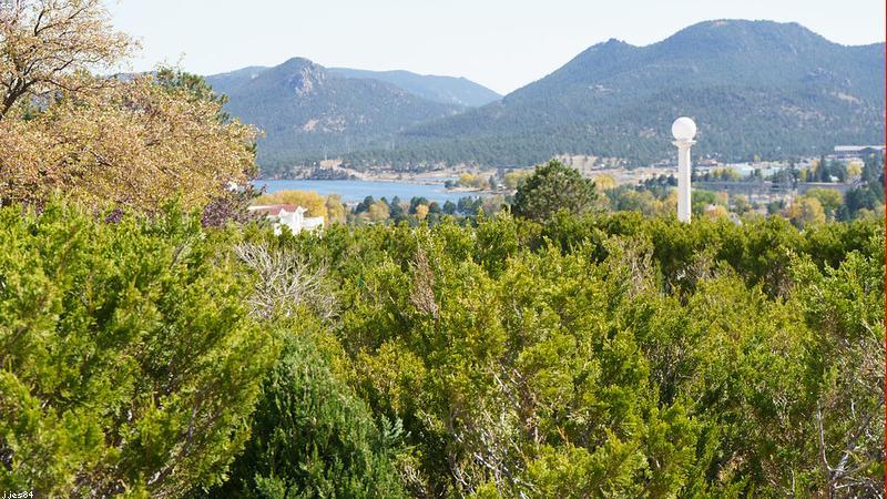 Cánh đồng nho Champagne canh tác hữu cơ