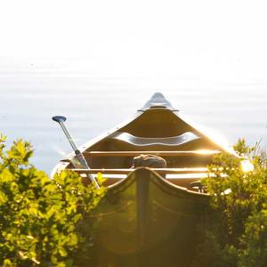 Bộ mở rộng 2026