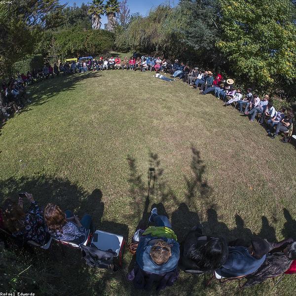 Botanist at Green Valley Farm