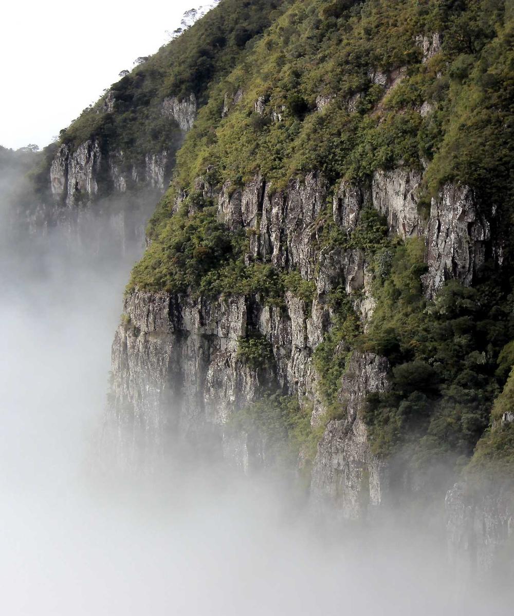 Tận tâm chăm sóc