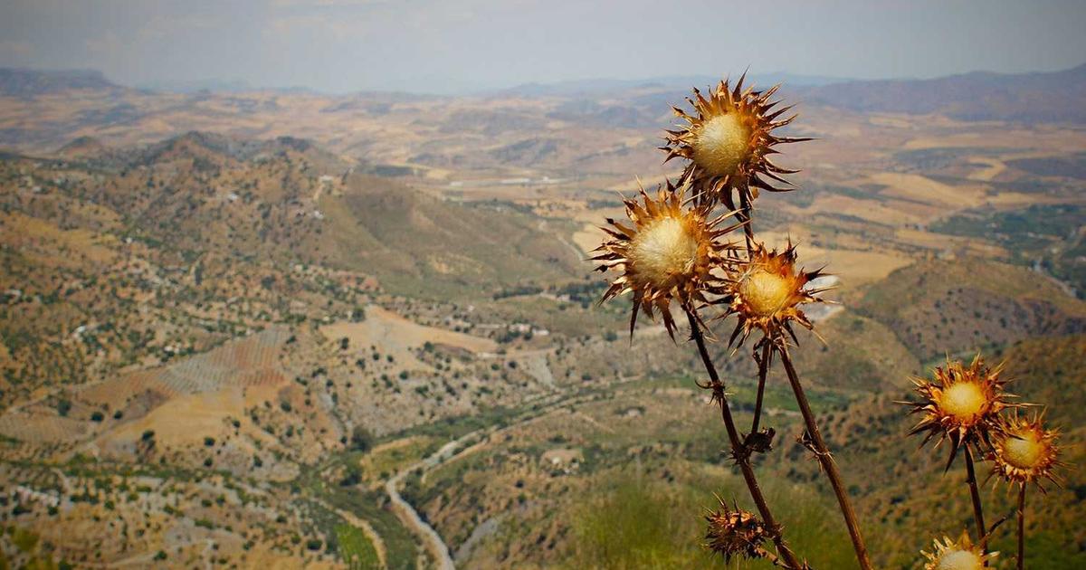 Xu hướng quà tặng handmade bền vững 2024: Vì sao túi vải và nến thơm lên ngôi?