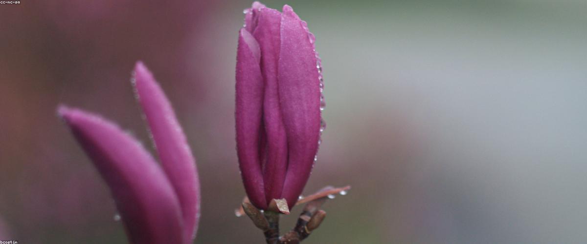 Sous-vide Precision Tooling