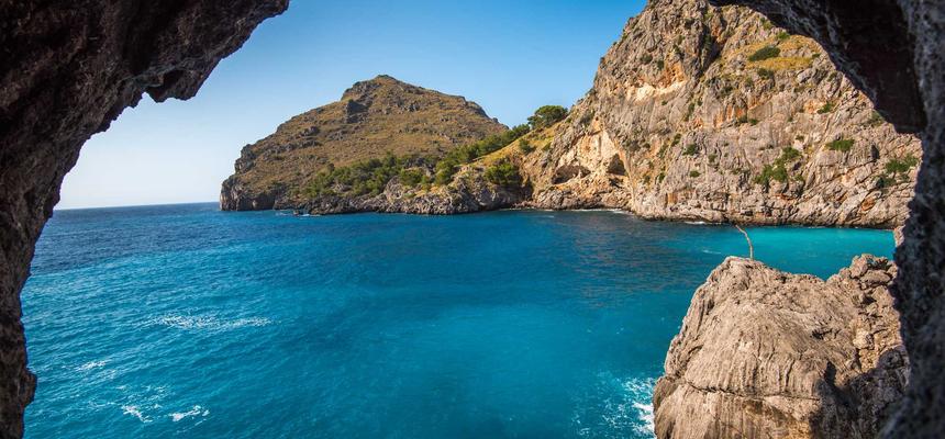 Nexus Energy Center Future