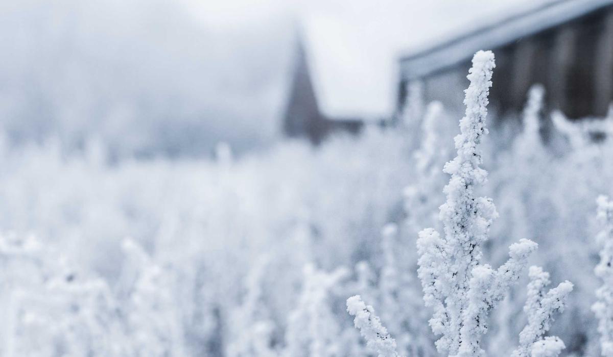 Vườn trái cây hữu cơ 2026