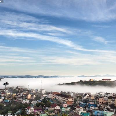 Arabica Cầu Đất