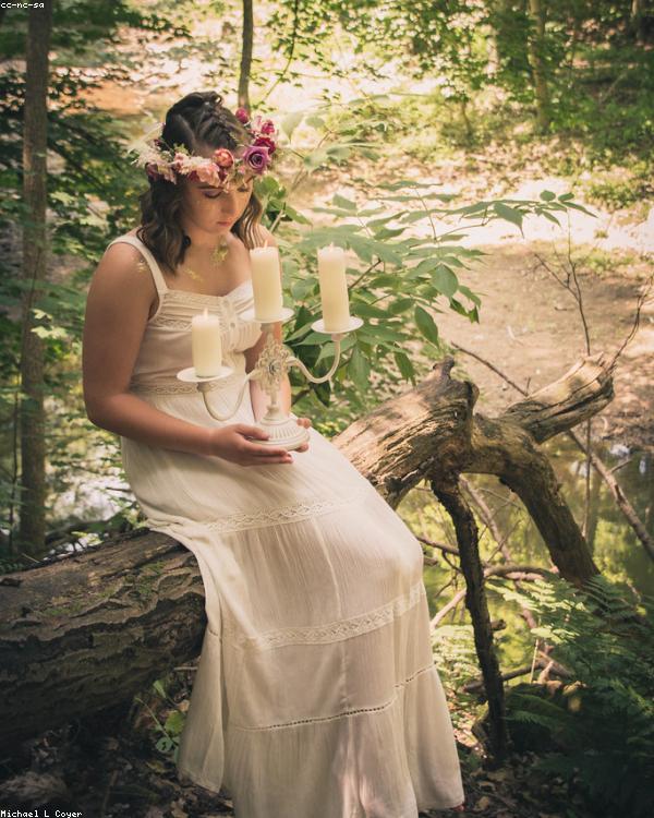 Forest Mist Lifestyle