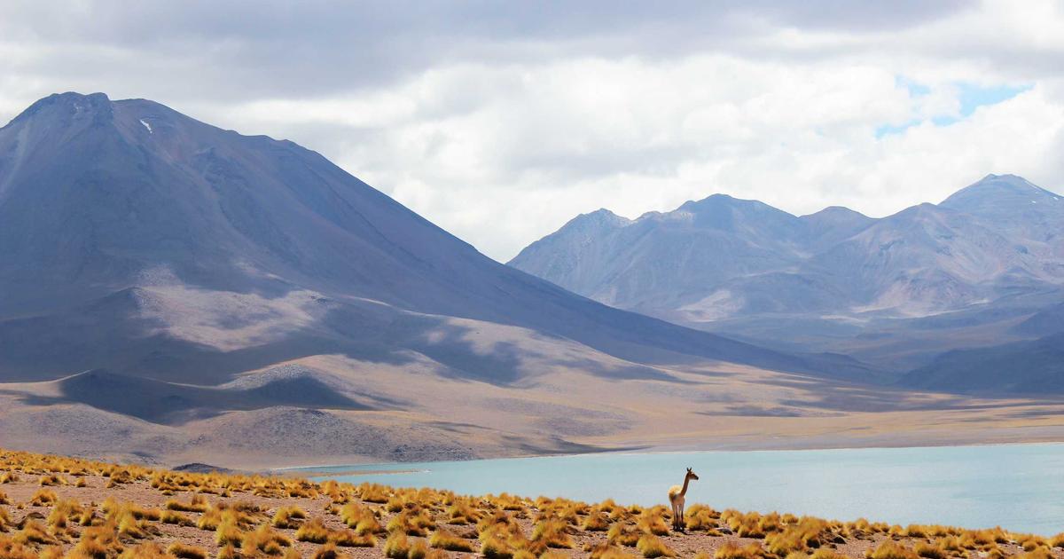 Xu hướng nhẫn kim cương 2024: Sự lên ngôi của thiết kế tối giản tại Imperial Jewelry