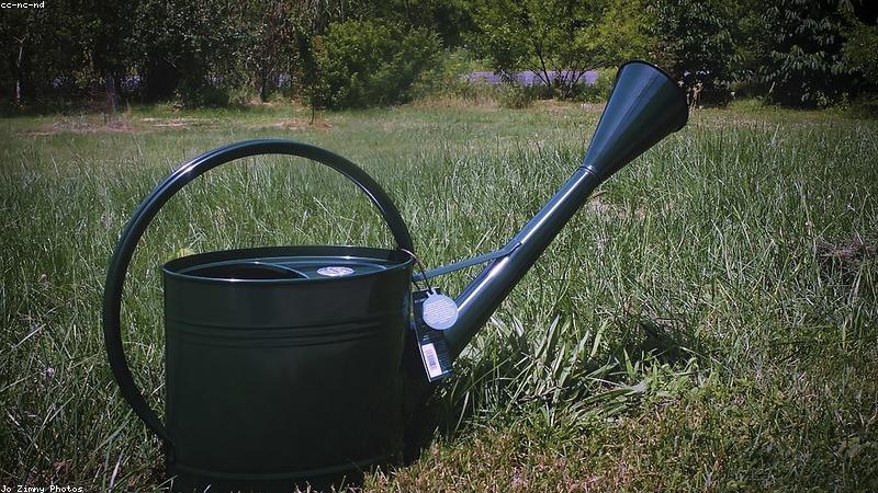 Kỹ thuật tưới nước cho cây cảnh