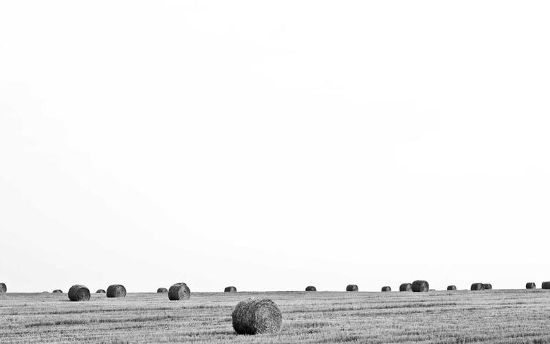 Cà phê thơ chữa lành Rhyme & Reason