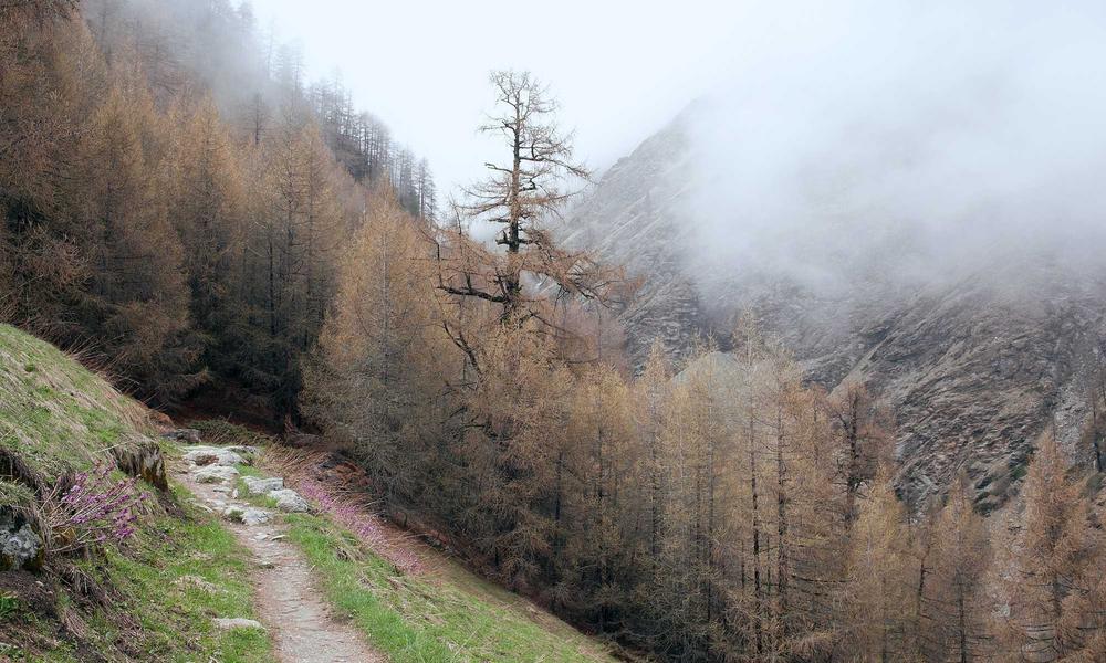 Sân vườn sinh thái tự tuần hoàn 2026