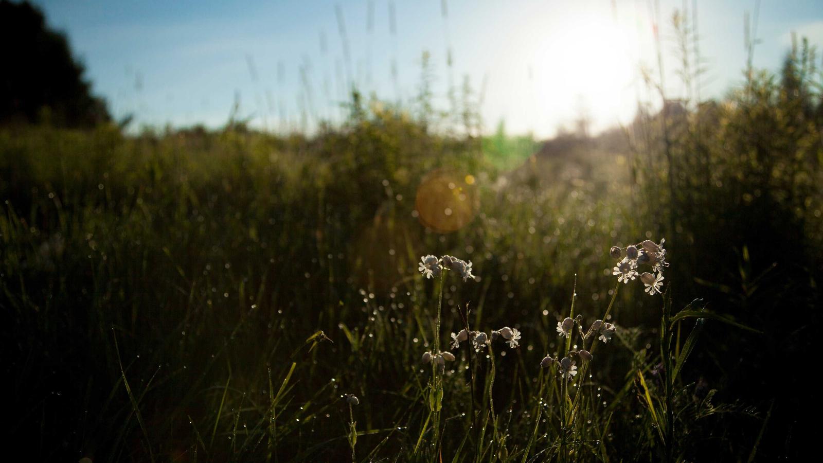 AI vs Traditional Design