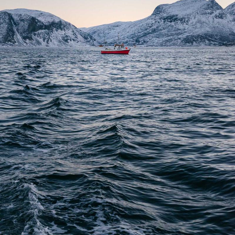 Túi xách 2026 Handbag Leather