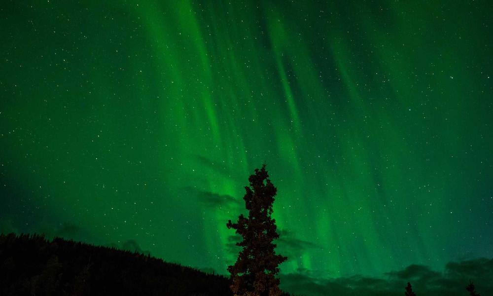 Xu hướng trang trí cupcake 2024