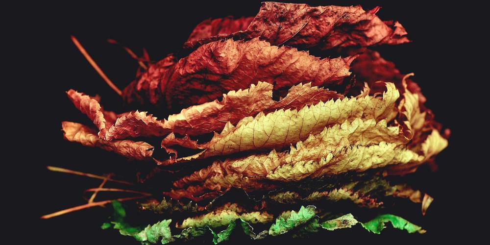 Review sổ sách kế toán