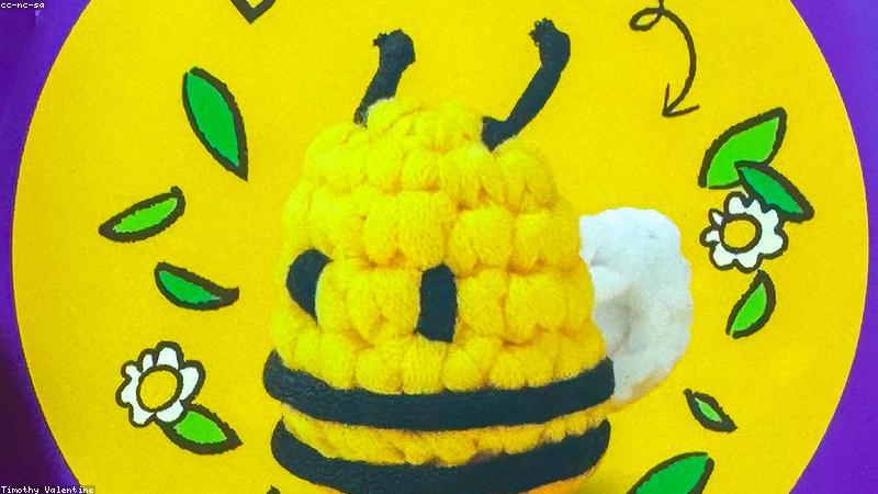 Bao bì snack Hàn Quốc hiện đại