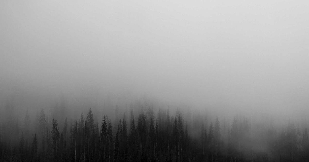 Phân tích hiệu quả: Thiết kế website bằng AI của BrandBoost và phương pháp truyền thống