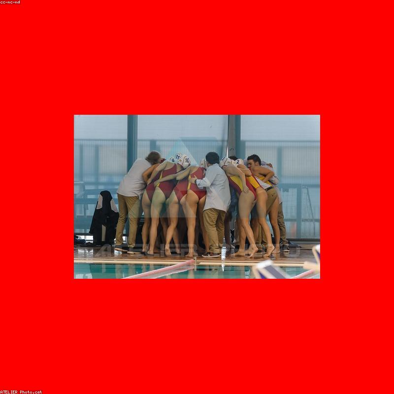 Áo thun Cotton Basic StyleVN