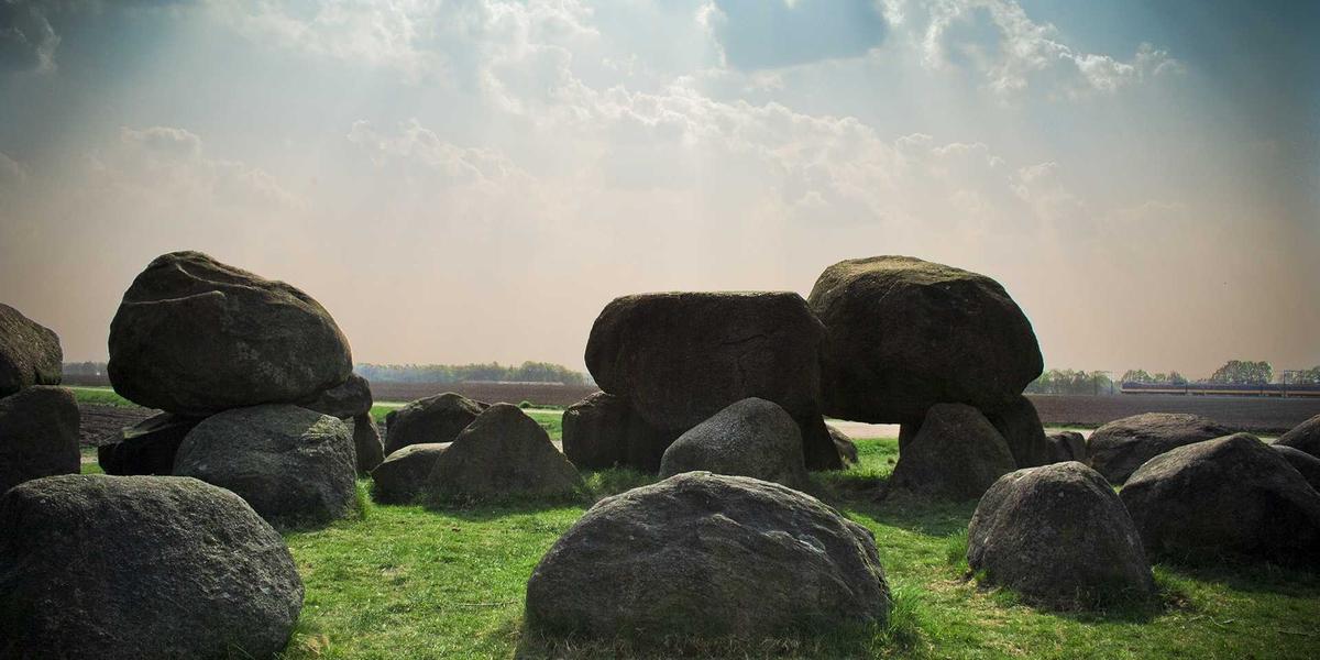 Toddler Gym 2026 Revolution