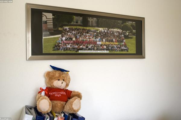 Gấu Teddy cao cấp tại PlushiePlaza