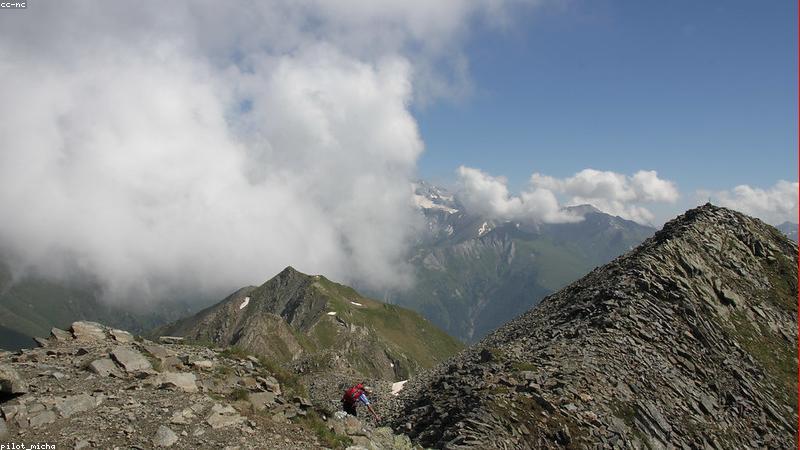 Dắt chó đi dạo giúp cải thiện tâm trạng