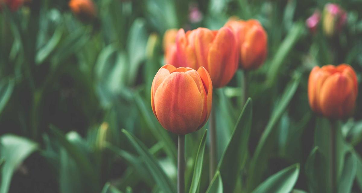 Chuyên gia ISO đánh giá tại dự án năng lượng tái tạo 2026