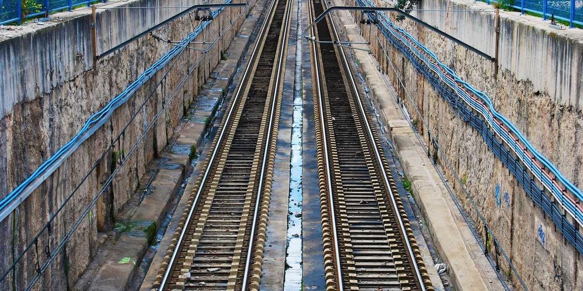 Hộp quà và bao bì sang trọng