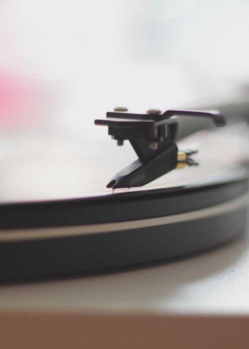 Giám tuyển tại Vintage Curator Long