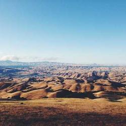 Cohiba Siglo VI 2026