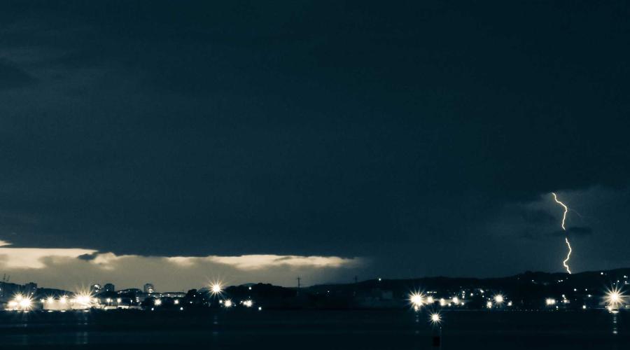 Cách nuôi mèo 2026 tươi mới