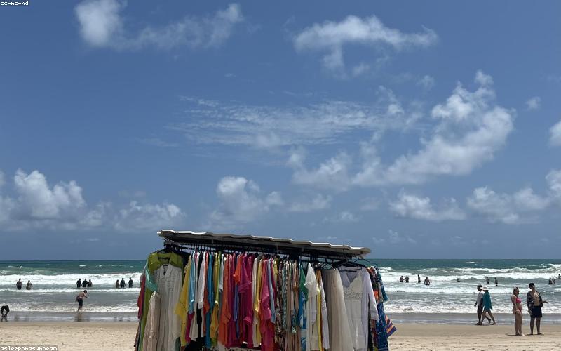 Thú cưng diện đồ mùa đông phong cách