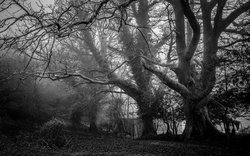 Sự hài lòng của khách hàng