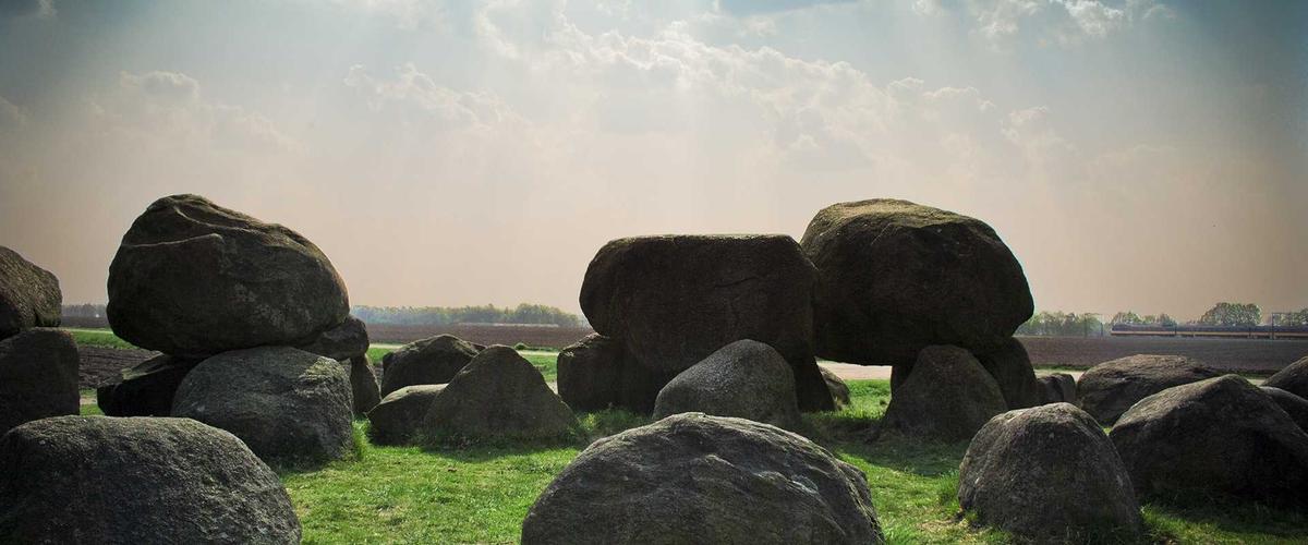 Khay bánh tart mùa thu