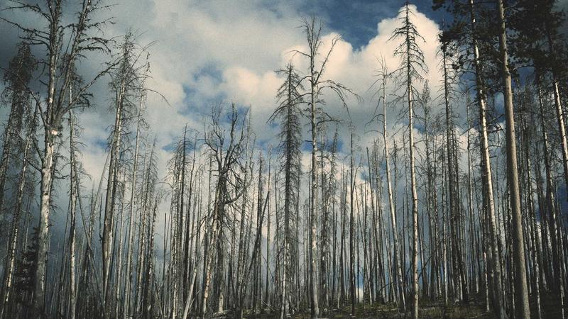 Student achieving goal