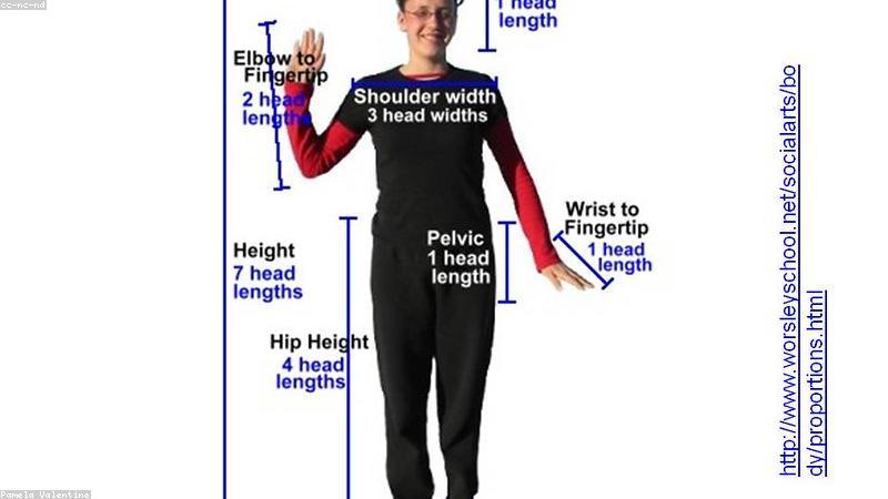 Tỷ lệ vẽ chibi cơ bản