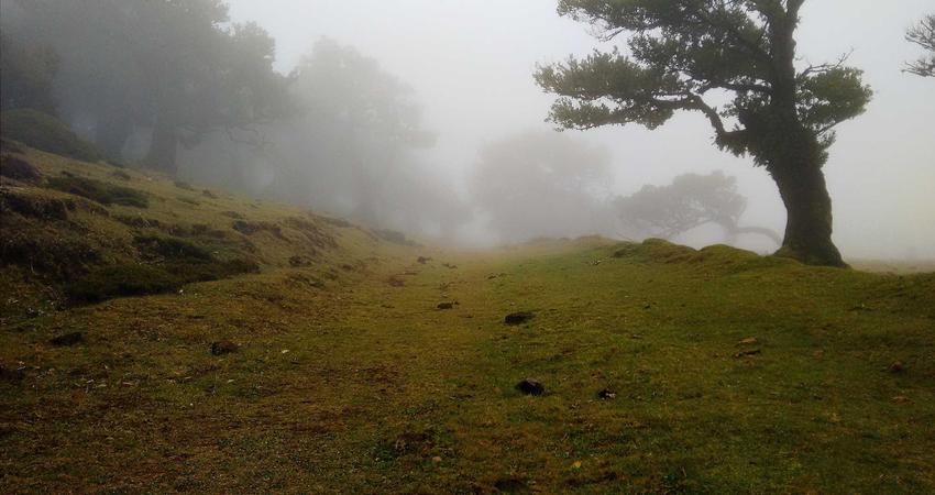 Bình trà matcha tối giản văn phòng 2026