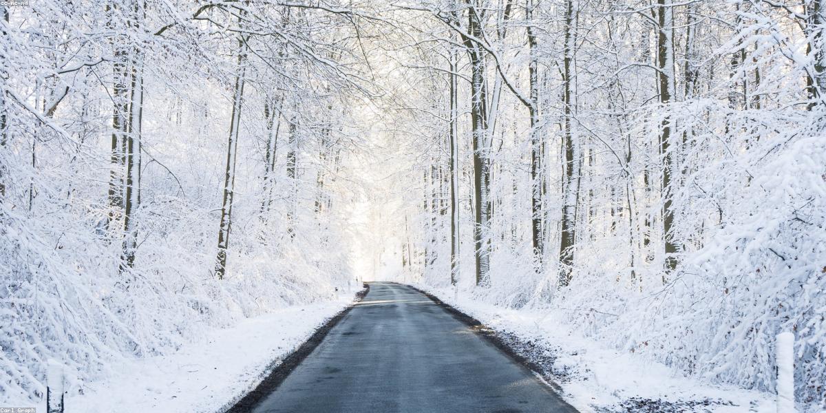 Không gian thiền định yên tĩnh trong rừng