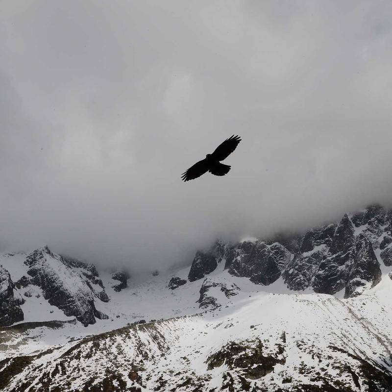 Hệ Tủ Bếp 2026 AeroTouch