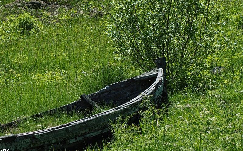 Kể chuyện qua hình ảnh