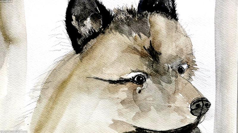 Phụ kiện nam giới cao cấp