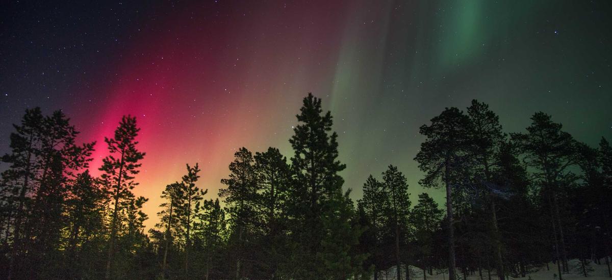 AI Haptics Rendering 2026